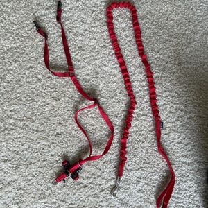 Leash and harness for small dogs and cats
